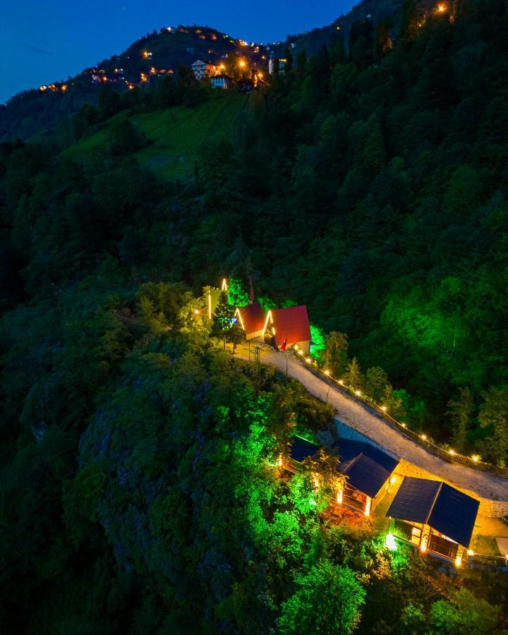 Bungalove Tatil Koeyue Çamlıhemşin エクステリア 写真