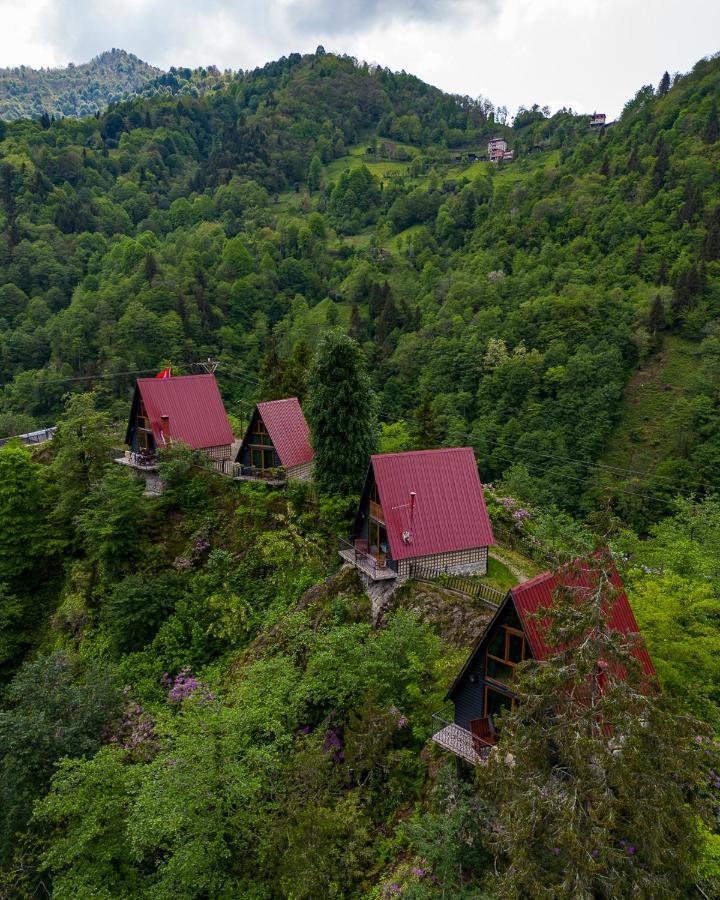 Bungalove Tatil Koeyue Çamlıhemşin エクステリア 写真