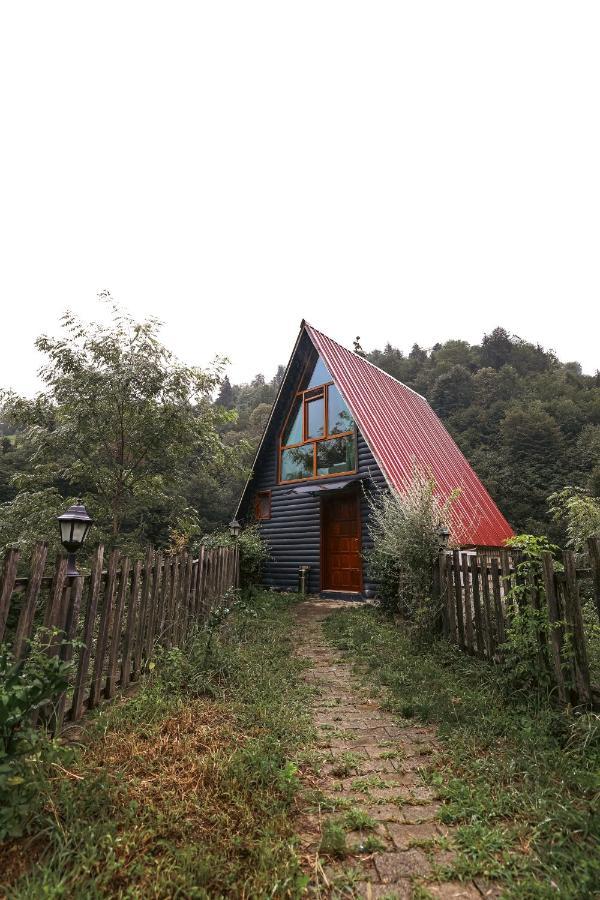 Bungalove Tatil Koeyue Çamlıhemşin エクステリア 写真