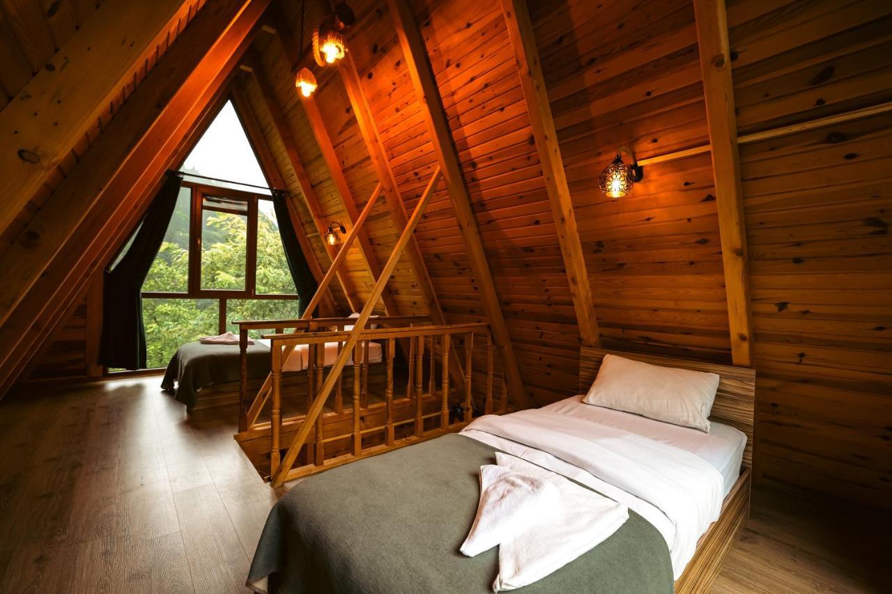 Bungalove Tatil Koeyue Çamlıhemşin エクステリア 写真