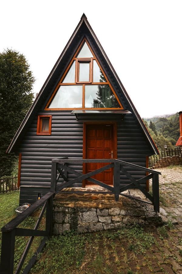 Bungalove Tatil Koeyue Çamlıhemşin エクステリア 写真